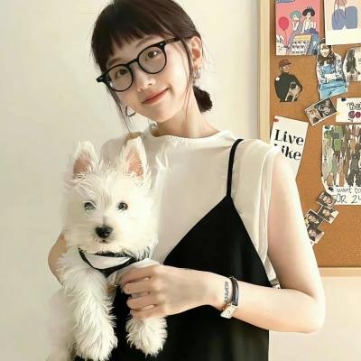 混沌行走